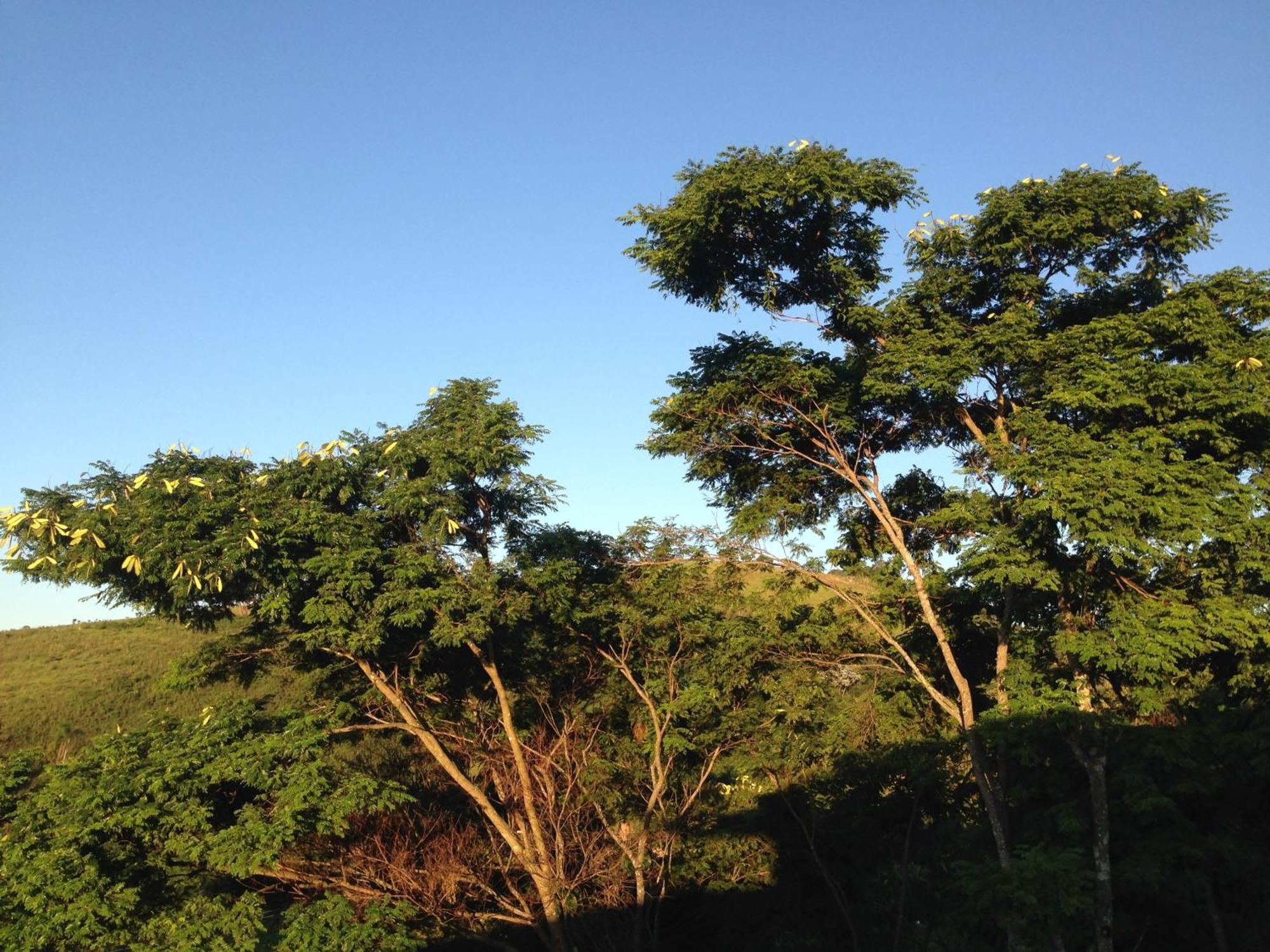 Pousada Vista Verde كونها الغرفة الصورة
